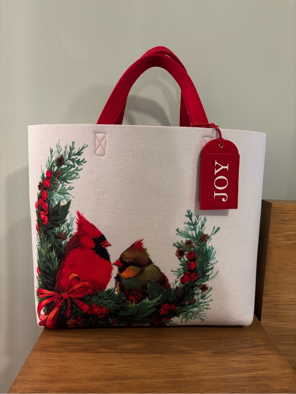 Barnes & Noble exclusive Punctuate felt tote cardinal design and JOY tag 20x12